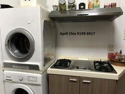 Bayshore Park (D16), Condominium #475465301